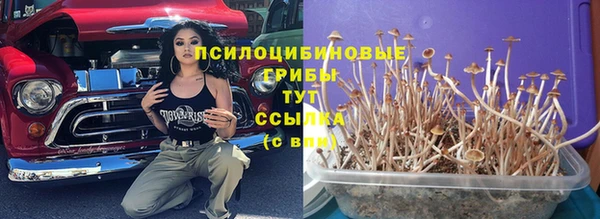 дмт Алзамай