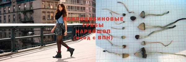 дмт Алзамай