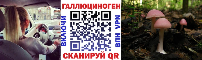omg ONION  где можно купить   Апшеронск  Галлюциногенные грибы ЛСД 